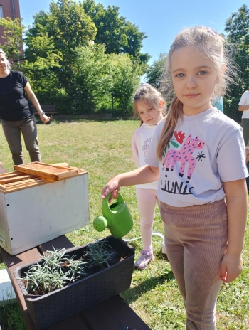 86313afc-b553-4285-93de-bd5122096cdb