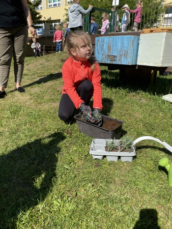 44bb5006-f7b0-4939-a746-0fdf2e035e70