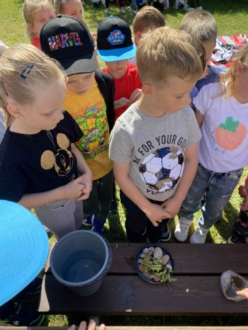 025cc6ec-fa7a-4d76-9869-b33fe8d661b9