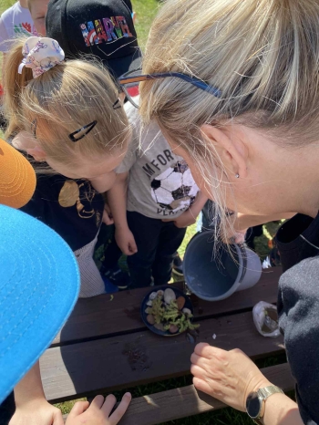 e68ab0f0-0676-48fe-b536-8f6f133a862d