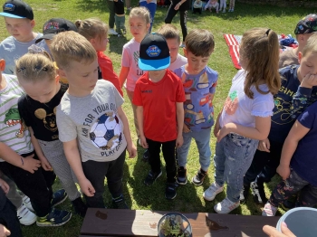 3a227754-b920-4973-9343-7a60661dcf59