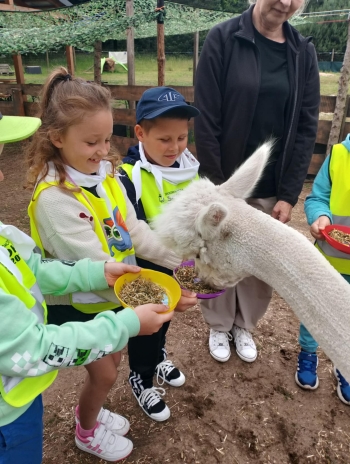 955851ea-a5ea-4633-a9ad-df1b8b18b63e