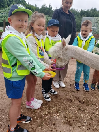 020a120c-d300-4f12-bde6-921ea495f5f4