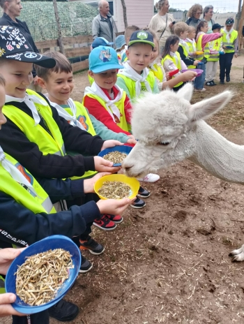 b9797952-b2e3-4e6b-89a8-605d1e2660c3