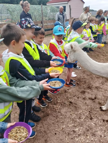 59f38557-1d6a-4c52-9cc8-c2ce23a81840