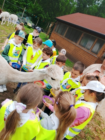 f63f0944-0500-43ab-88c1-7407092f07d2