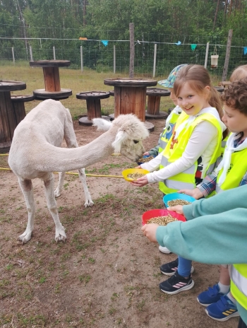 c0479a8d-04f3-4c95-ae84-2e35fc3d3ef4