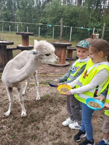 c3ac163a-d80c-412e-aa45-a7c26c5306fc