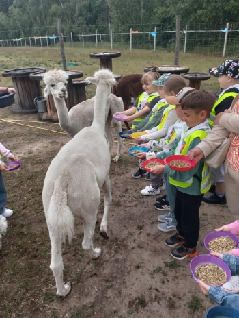 b7ae7981-ee88-4a2e-a88e-ff11e1837caa