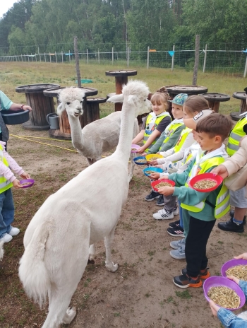 2ab02e1a-bf9f-4306-b3ad-13a90b064ec4