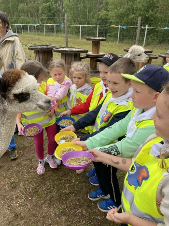 7a64829f-aa54-4021-acce-f6f06ffbd710