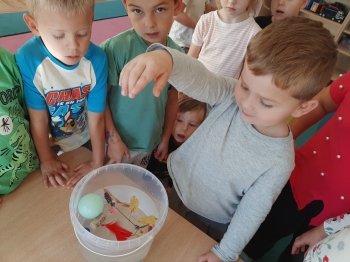 20250924_093628_resized