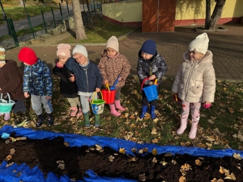 629d3b44-c28e-4b00-a702-1b8d7b6e21a4