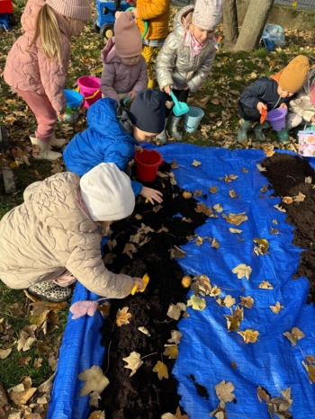 4fbc72a8-1d12-455e-a005-b803ffa321b4