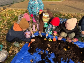 ee0ff585-9beb-48b2-84f7-0ebd194a84d1