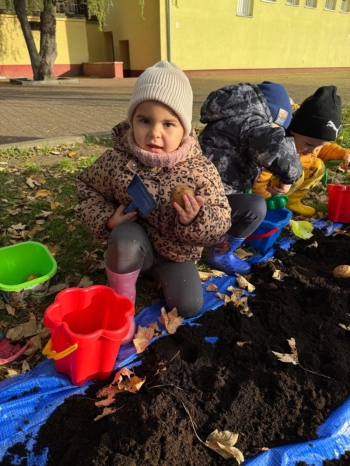 bb3d3593-e9d3-4f41-9808-f31156f0e4c9