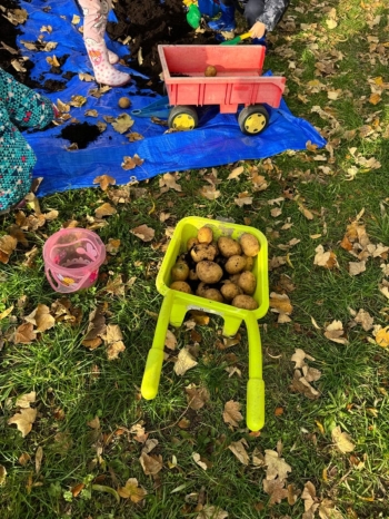 d9996f11-fbfc-4094-8420-1a872209798b