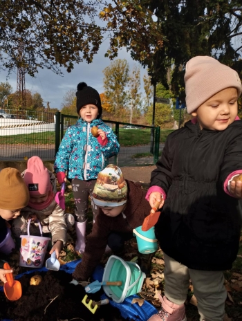 dfb3b2c7-8651-434a-b8a8-5acf1375d1cd