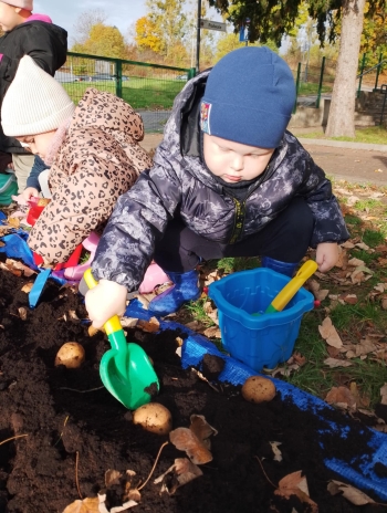 b83cdaef-3116-430c-af5d-28727183b147