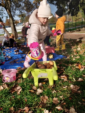 4262075c-6733-42bd-8322-769935773a3d