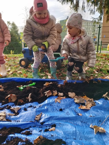 a58ed81f-8c3c-4de5-ba1c-e0d9f67d486d