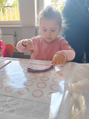 e2480602-066f-46d0-8389-0f50cce92c8c