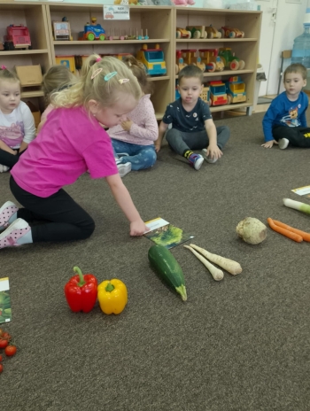 695b1592-c648-4c42-843d-bcaf83f269b8