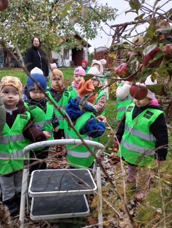 00ff597b-5758-4952-a378-6be9f6ef1c19