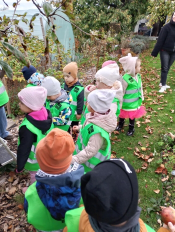 62cee7dd-1768-4f27-ba1f-3c05bb574ded