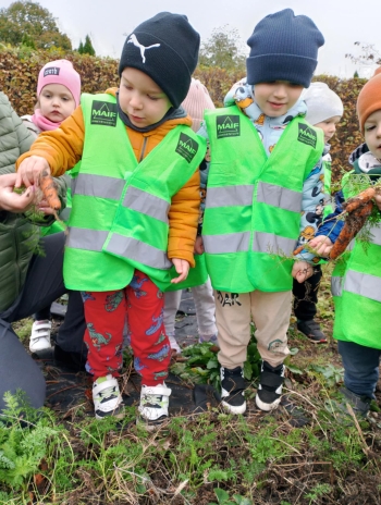 bc88d942-7f12-452d-b439-40c4eb982d4d