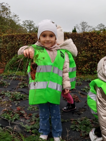 805991c8-bffd-4cf5-bf05-98a1e68fe944