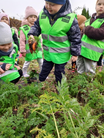 5fa0ae95-84c9-436b-a476-ec31137915f6