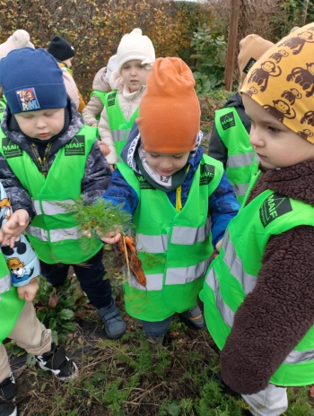 4e433d8d-5797-4e50-9382-8dd4fae15798