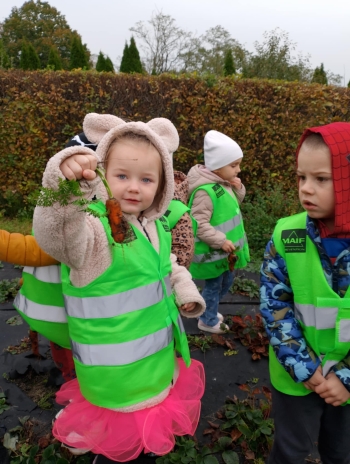 edfe999d-ba04-47a9-98bf-f91d02ac447b