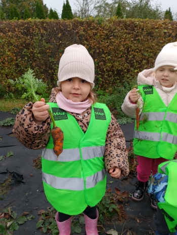 e88e12bc-e499-4eed-8521-48ea92ece231