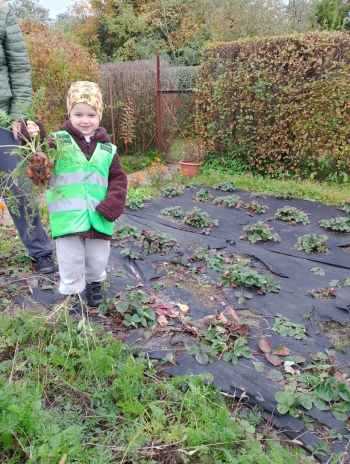 31ccabf9-da93-4e4e-a118-ee41903851c6