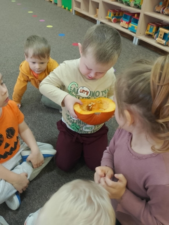 b8da7308-e352-415f-8f2c-cec62ccdbfa2