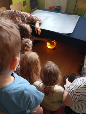 e4126dda-5ff2-4fe1-8b36-7066c92d0bd6.jfif