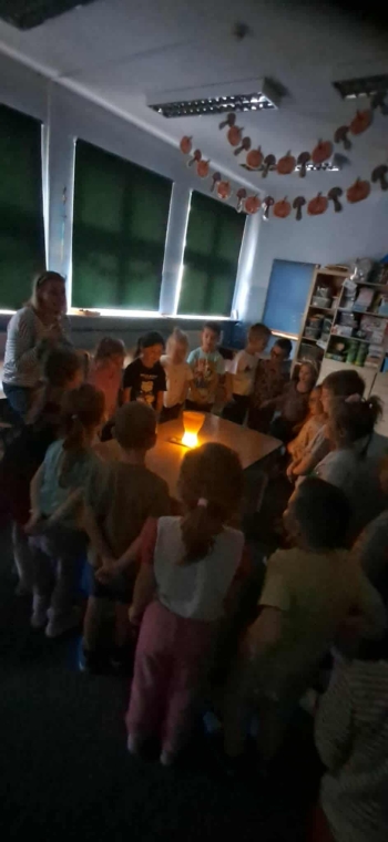 f5f12656-15d1-4e17-aebe-3bd4f2341d50.jfif