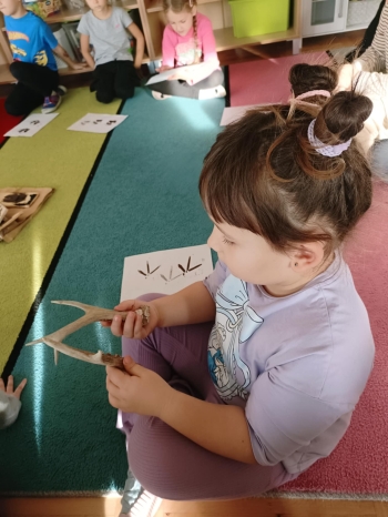 9915c5e6-b6cd-4cf4-b9d1-7929d4bfca8b