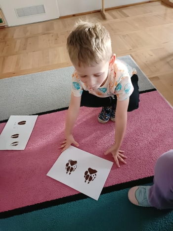 d206f3ac-80c5-4102-abf6-a06d749beb84