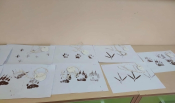 0fe03c90-2804-4a37-b1ea-8f0fc80a8edc.jfif