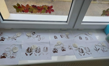 7cc17452-3d7d-4862-acc9-572746418a5e.jfif