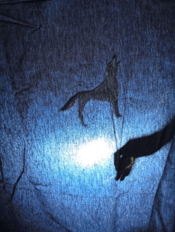 8bc81c91-8d71-4be1-b382-8af85ba12a3a.jfif