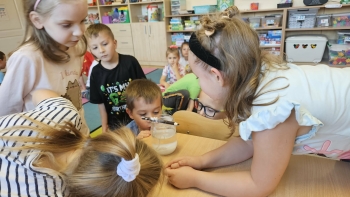 doswiadczenia z solą 2