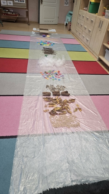 Ścieżka sensoryczna 