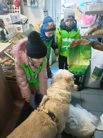 680b9a93-9ffe-45cd-990c-6d7919489e87.jfif