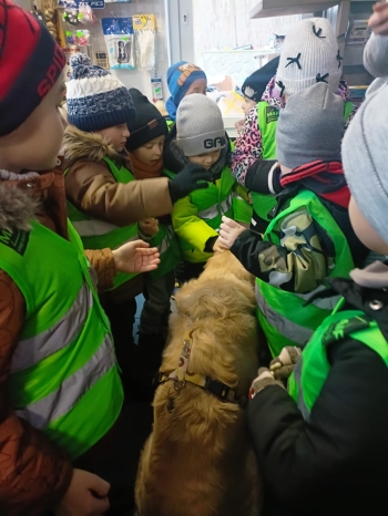 3913fa82-4030-43b2-8956-c2c42e27fd03.jfif