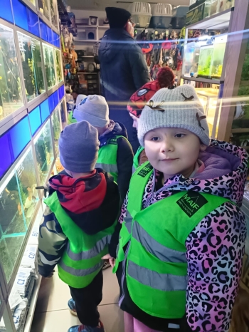 b95928a2-7de0-4778-817e-5a75b04b1082.jfif