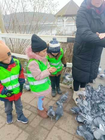 c024d211-a4ed-43b4-84fa-d7db415b5db7.jfif